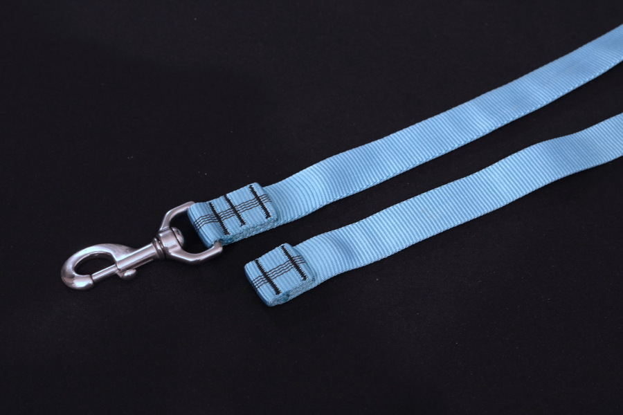 Fährtenleine 10m blau