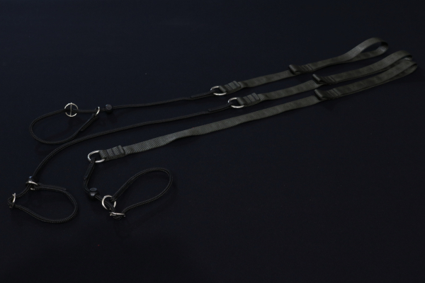 Schauhalsband mit Leine