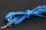 Fährtenleine 10m 16mm blau
